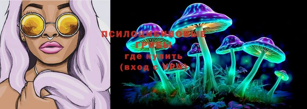 тгк Аркадак